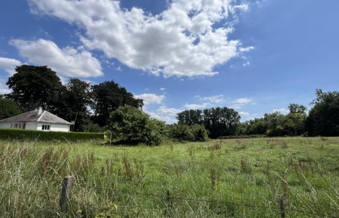Maison individuelle viable de plain pied la CERLANGUE